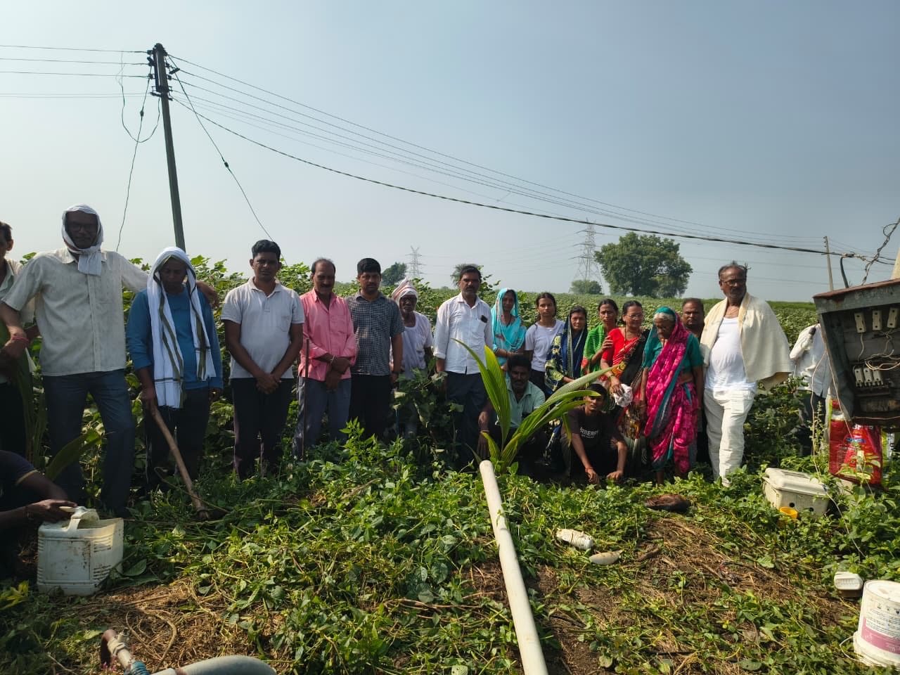 स्व. सुभाष वाढई यांच्या स्मृतिप्रीत्यर्थ वृक्षारोपणाचा पर्यावरणपूरक उपक्रम. स्व. सुभाष वाढई यांच्या स्मृतिप्रीत्यर्थ वृक्षारोपणाचा पर्यावरणपूरक उपक्रम.